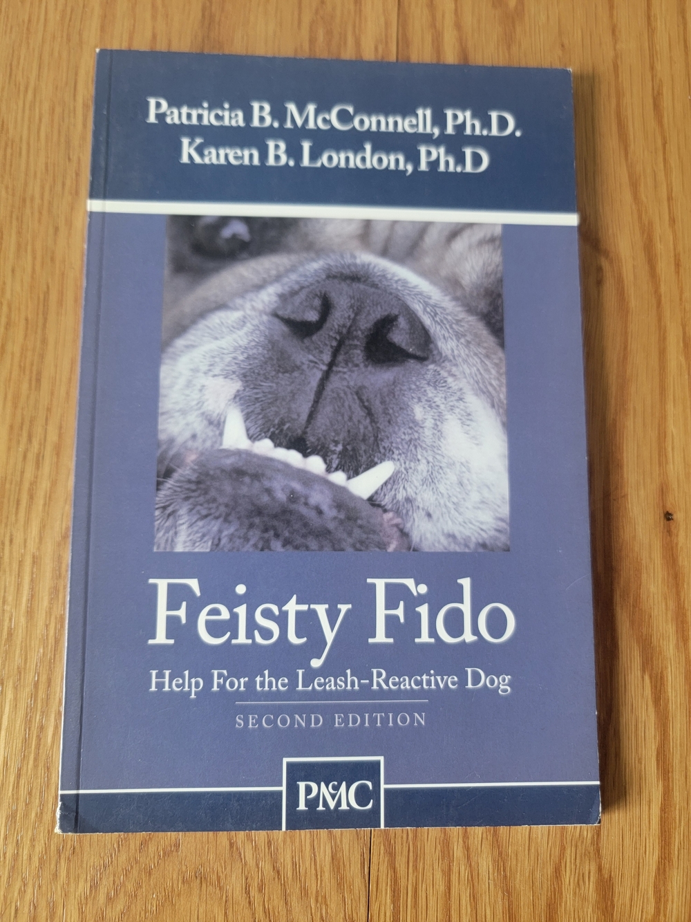 Feisty Fido by Patricia B. McConnell